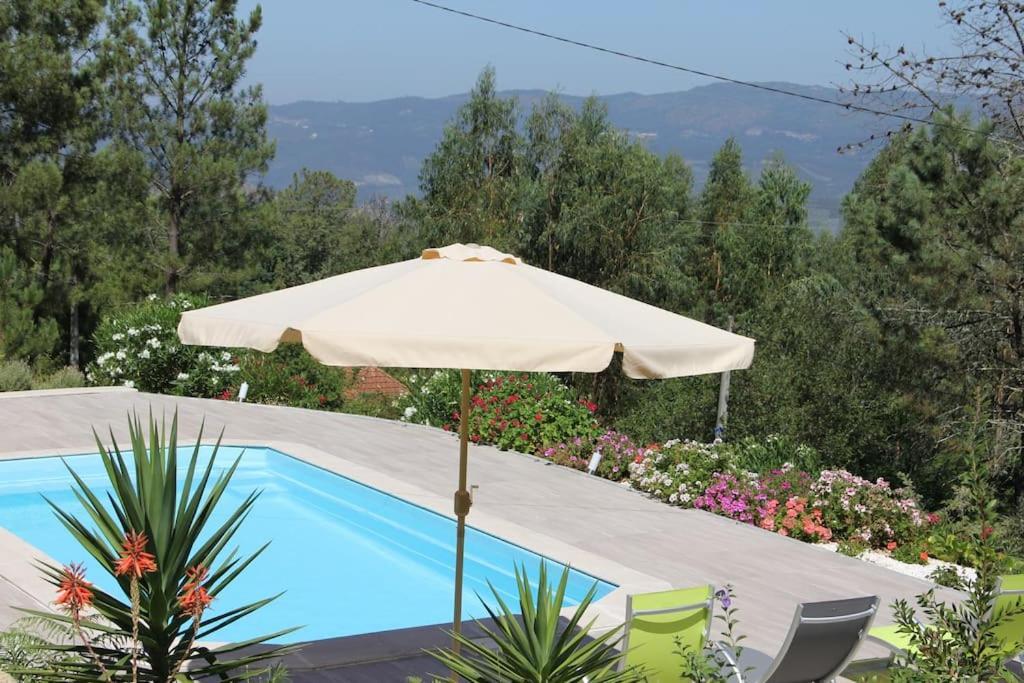 Casa Quelha Da Presa Villa Espinho  Bagian luar foto