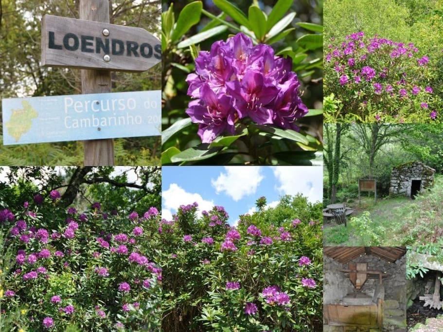 Casa Quelha Da Presa Villa Espinho  Bagian luar foto