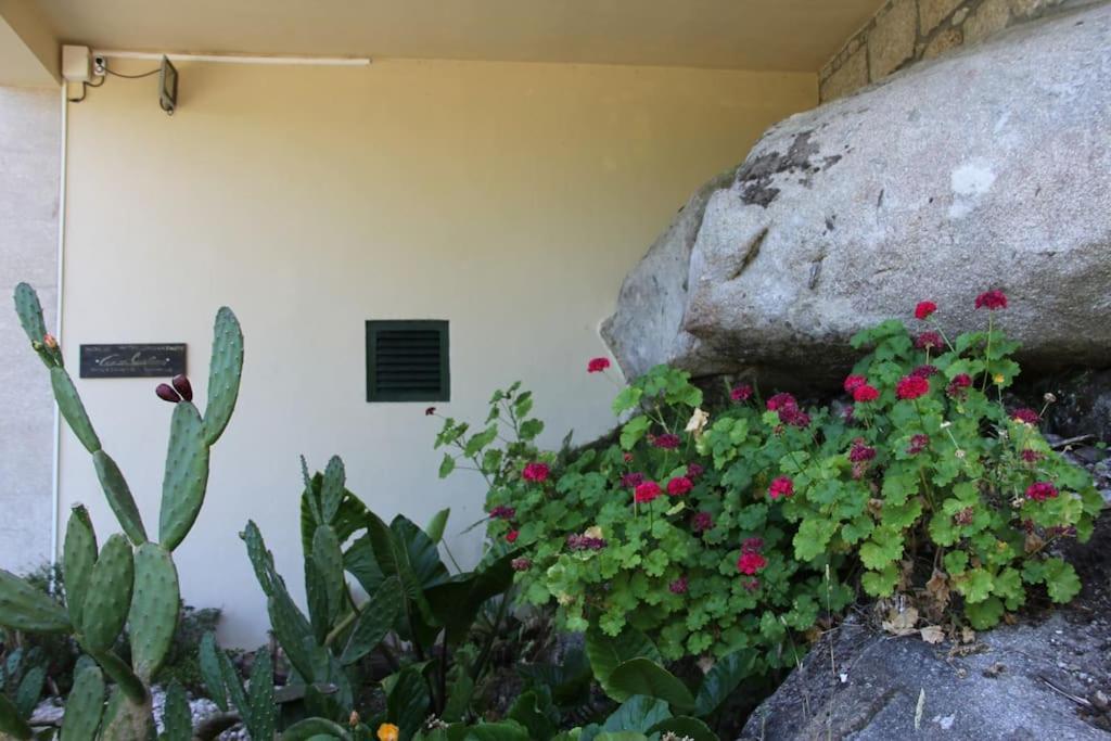 Casa Quelha Da Presa Villa Espinho  Bagian luar foto